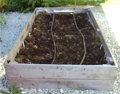 Do-It-Yourself Garden Irrigator